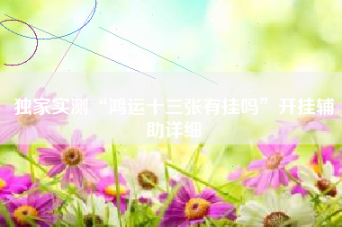 独家实测“鸿运十三张有挂吗”开挂辅助详细 独家实测“鸿运十三张有挂吗”开挂辅助详细