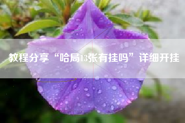 教程分享“哈局13张有挂吗”详细开挂