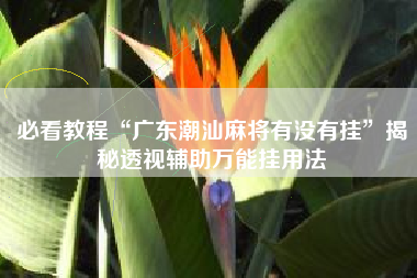 必看教程“广东潮汕麻将有没有挂”揭秘透视辅助万能挂用法