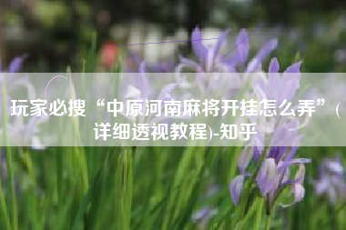 玩家必搜“中原河南麻将开挂怎么弄”(详细透视教程)-知乎