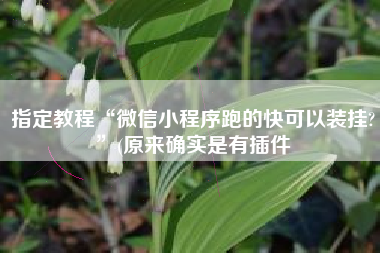 指定教程“微信小程序跑的快可以装挂?”(原来确实是有插件