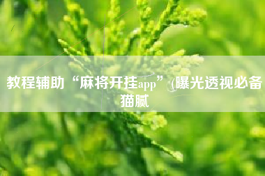 教程辅助“麻将开挂app”(曝光透视必备猫腻 教程辅助“麻将开挂app”(曝光透视必备猫腻