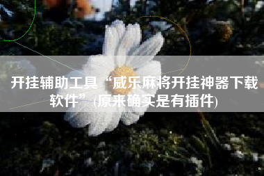 开挂辅助工具“威乐麻将开挂神器下载软件”(原来确实是有插件)