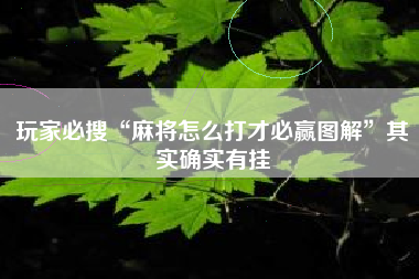 玩家必搜“麻将怎么打才必赢图解”其实确实有挂