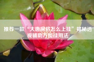 推荐一款“大唐麻将怎么上挂”揭秘透视辅助万能挂用法 推荐一款“大唐麻将怎么上挂”揭秘透视辅助万能挂用法