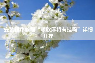 安装程序教程“顺欣麻将有挂吗”详细开挂