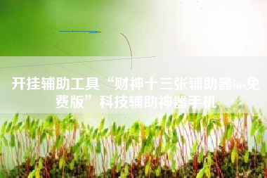 开挂辅助工具“财神十三张辅助器ios免费版”科技辅助神器手机 开挂辅助工具“财神十三张辅助器ios免费版”科技辅助神器手机