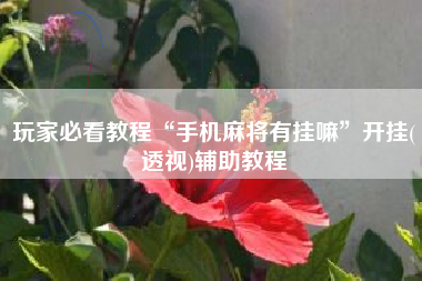 玩家必看教程“手机麻将有挂嘛”开挂(透视)辅助教程