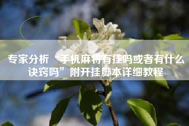 专家分析“手机麻将有挂吗或者有什么诀窍吗”附开挂脚本详细教程