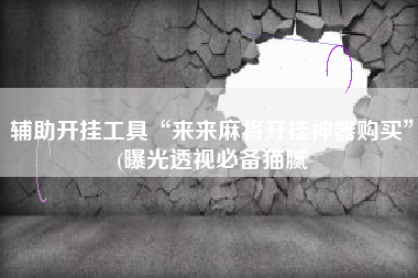 辅助开挂工具“来来麻将开挂神器购买”(曝光透视必备猫腻