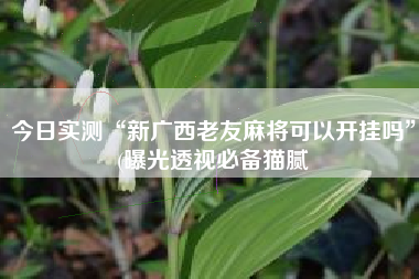 今日实测“新广西老友麻将可以开挂吗”(曝光透视必备猫腻 今日实测“新广西老友麻将可以开挂吗”(曝光透视必备猫腻