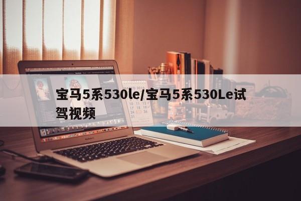 宝马5系530le/宝马5系530Le试驾视频