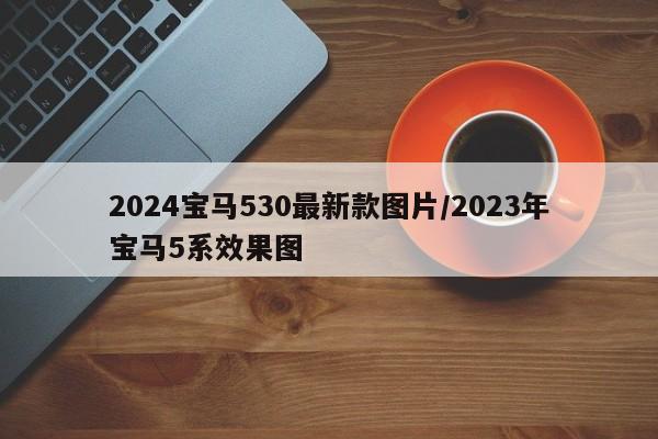 2024宝马530最新款图片/2023年宝马5系效果图