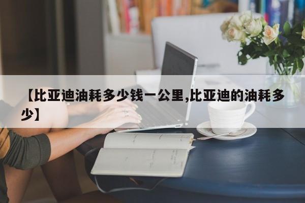 【比亚迪油耗多少钱一公里,比亚迪的油耗多少】