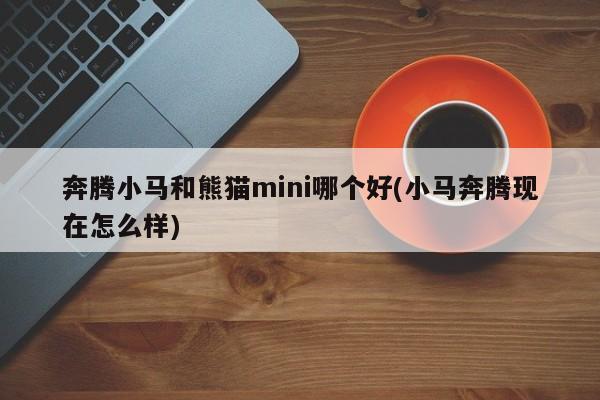 奔腾小马和熊猫mini哪个好(小马奔腾现在怎么样)