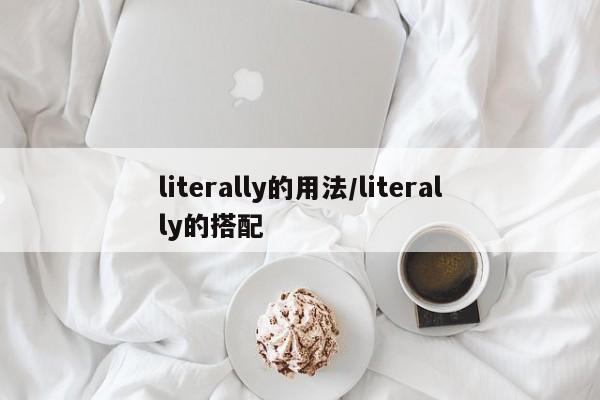 literally的用法/literally的搭配