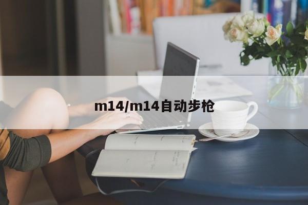 m14/m14自动步枪