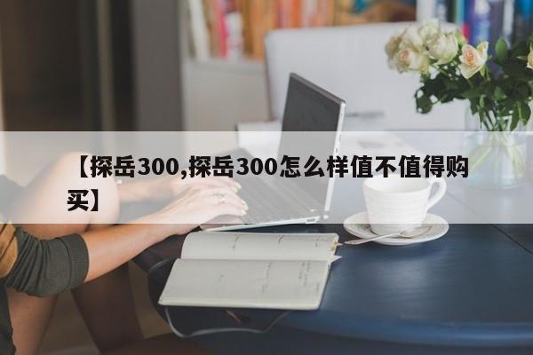 【探岳300,探岳300怎么样值不值得购买】