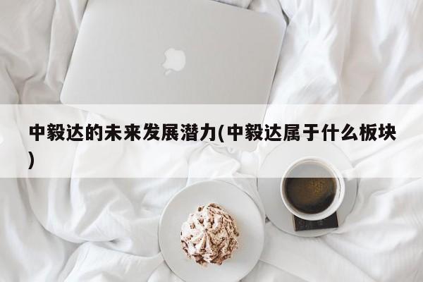 中毅达的未来发展潜力(中毅达属于什么板块)