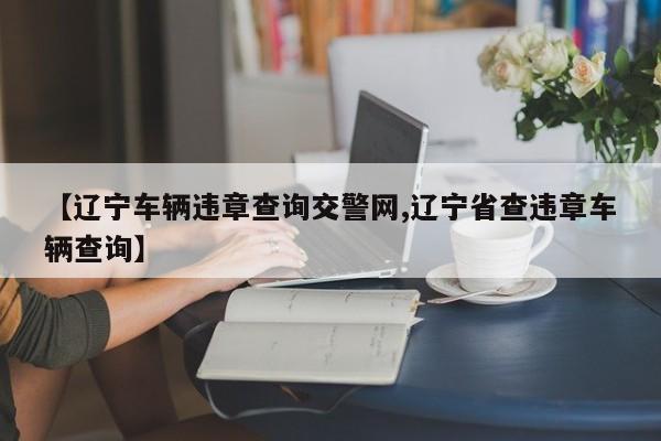 【辽宁车辆违章查询交警网,辽宁省查违章车辆查询】