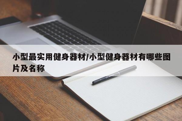 小型最实用健身器材/小型健身器材有哪些图片及名称