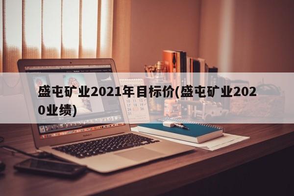 盛屯矿业2021年目标价(盛屯矿业2020业绩)