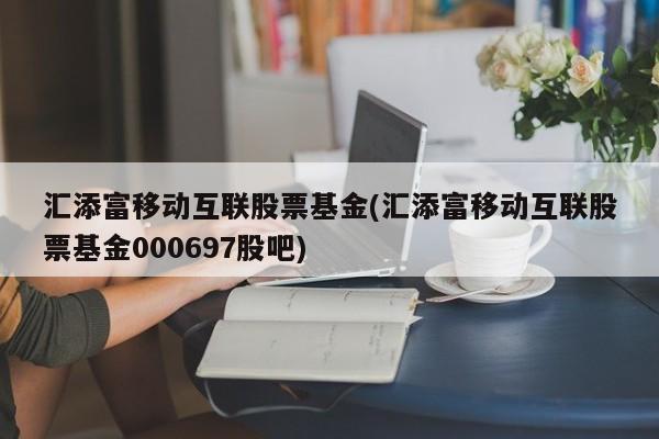汇添富移动互联股票基金(汇添富移动互联股票基金000697股吧)