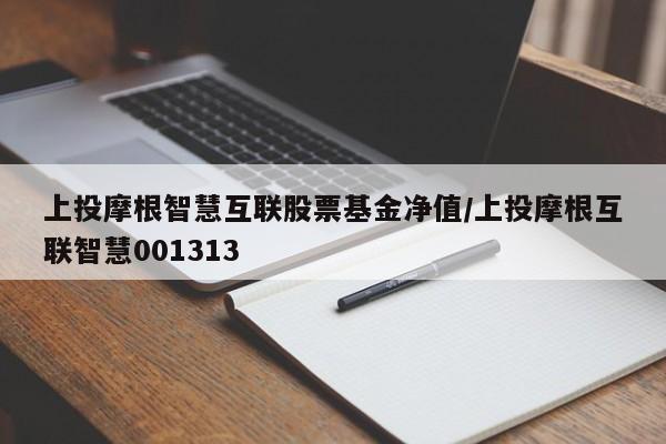 上投摩根智慧互联股票基金净值/上投摩根互联智慧001313