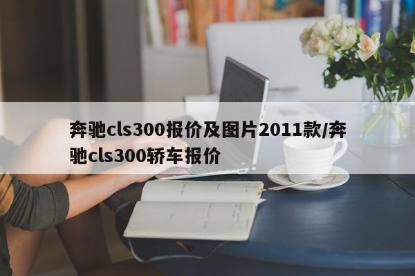 奔驰cls300报价及图片2011款/奔驰cls300轿车报价