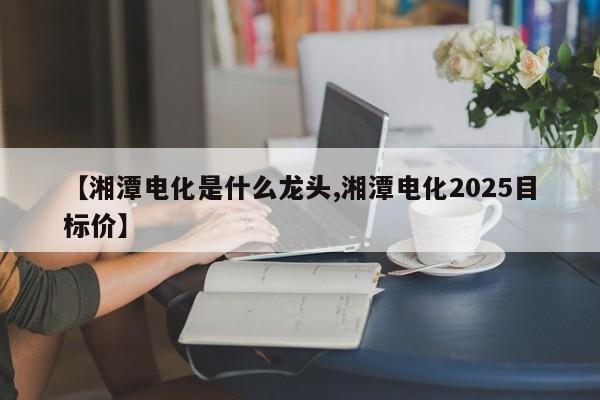 【湘潭电化是什么龙头,湘潭电化2025目标价】
